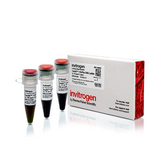 18061. TRACKIT 1 KB PLUS DNA LADDER 50UG - INVITROGEN