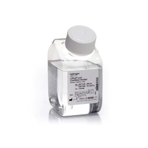 20948. AGUA DESTILADA LIBRE DE DNASA/RNASA ULTRAPURE 500ML - INVITROGEN