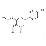 18543. STD APIGENIN 20MG - EXTRASYNTHESE