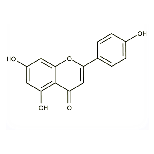 18543. STD APIGENIN 20MG - EXTRASYNTHESE