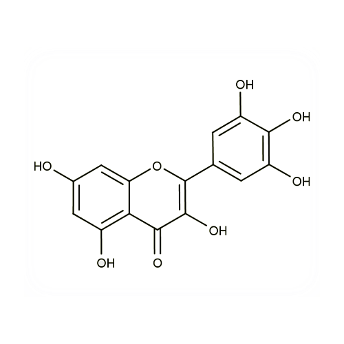 17970. STD MYRICETIN 20MG - EXTRASYNTHESE