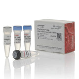 53574. PLATINUM TAQ DNA POLYMERASE HIGH FIDELITY 500 REACCIONES - INVITROGEN