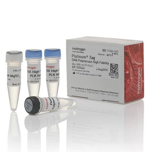 53574. PLATINUM TAQ DNA POLYMERASE HIGH FIDELITY 500 REACCIONES - INVITROGEN