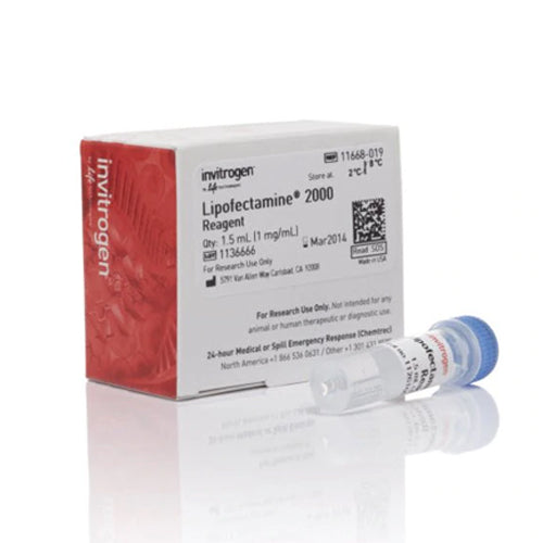 53516. REACTIVO P/TRANSFECCION LIPOFECTAMINE 2000, 1.5ML - INVITROGEN