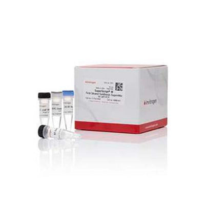 55409. SUPERSCRIPT III FIRST-STRAND SYNTHESIS SUPERMIX FOR QRT-PCR 250 REACTIONS - INVITROGEN