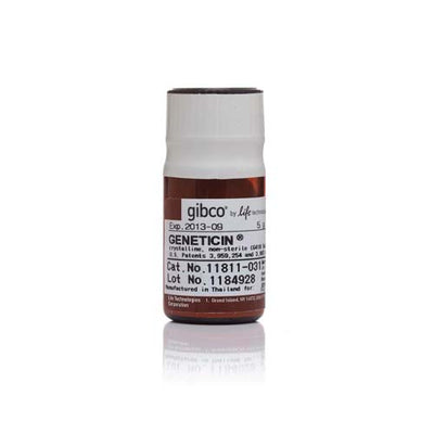 12809.ANTIBIOTICO SELECTIVO GENETICIN (SULFATO G418) POLVO 5GR - GIBCO
