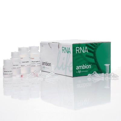 53551. MINI KIT PURELINK 250 PRUEBAS - INVITROGEN