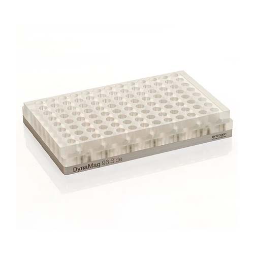 15519. IMAN LATERAL DYNAMAG 96 APPLIED - BIOSYSTEMS