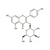 17962. STD KAEMPFEROL-3-O-GLUCOSIDE 10MG - EXTRASYNTHESE