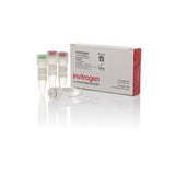 1699. PLATINUM HOT START PCR MASTER MIX (2X), 200 RXNS - INVITROGEN