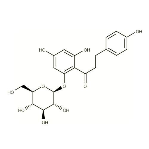18553. STD PHLORIDZIN 20MG - EXTRASYNTHESE