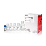21262. DYNABEADS ANTIBODY COUPLING KIT, - INVITROGEN