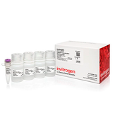 53481. PLATINUM II TAQ HOT START DNA POLIMERASA 100 REACCIONES- INVITROGEN