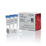 22744. LIGASA DE ADN T4 (1 U/UL) 500 UNIDADES INVITROGEN