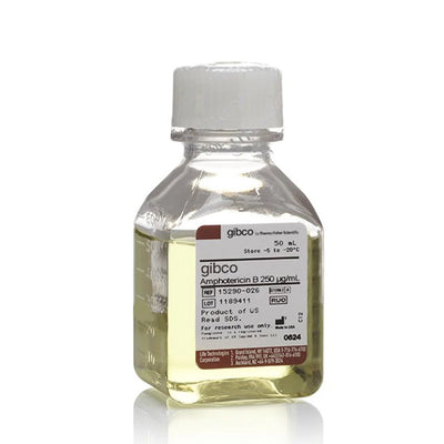 53444. ANFOTERICINA B 50ML - GIBCO