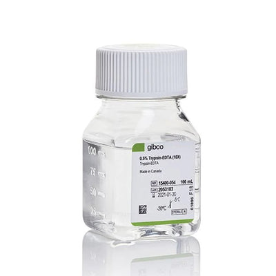 53443. TRYPSIN-EDTA (0.5%), NO PHENOL RED 100ML - GIBCO