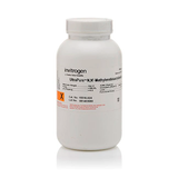 6175. N-N-METILENOBISACRILAMIDA ULTRAPURE 100GR - INVITROGEN