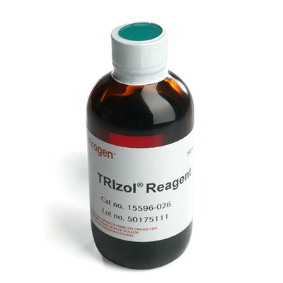 53601. REACTIVO TRIZOL 100ML - INVITROGEN