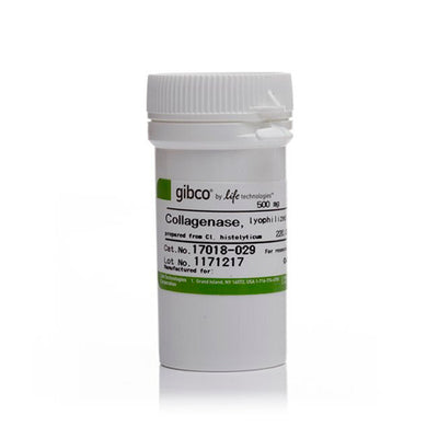 11282.COLAGENASA TIPO I POLVO 500MG - GIBCO