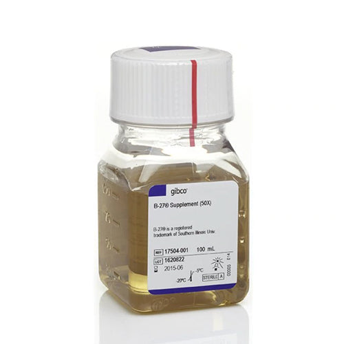 53439. B-27 SUPPLEMENT (50X), SERUM FREE 100ML - GIBCO