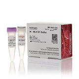 53511. SOLUCION BUFFER DE TRANSCRIPTASA INVERSA M-MLV 1ML - INVITROGEN