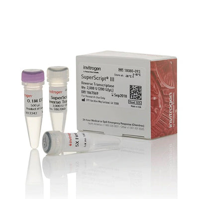 53509. SUPERSCRIPT III TRANSCRIPTASA INVERSA 2000U - INVITROGEN