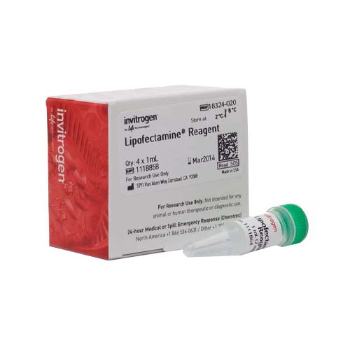 55452.LIPOFECTAMINE TRANSFECTION REAGENT 4ML - INVITROGEN