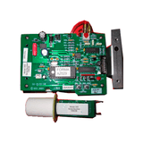 25550. SENSOR CO2 I/R AUTO ZERO ABSOLUTO THERMO SCIENTIFIC