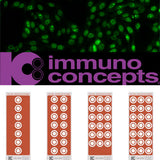 25543. SISTEMA DE ANALISIS DE ANA-RO POR INMUNOFLUORESCENCIA HEP-2000 IMMUNO CONCEPTS 70 PRUEBAS - IMMUNO CONCEPTS