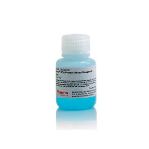 10120. BCA PROTEIN ASSAY REAGENT B 25ML PIERCE CTR Scientific