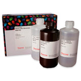 53072. ZINC REVERSIBLE STAIN KIT - PIERCE