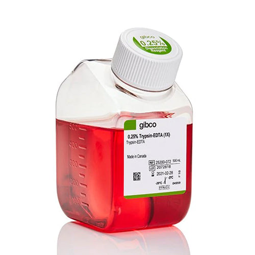 53431. TRYPSIN-EDTA (0.25%), PHENOL RED 500ML - GIBCO