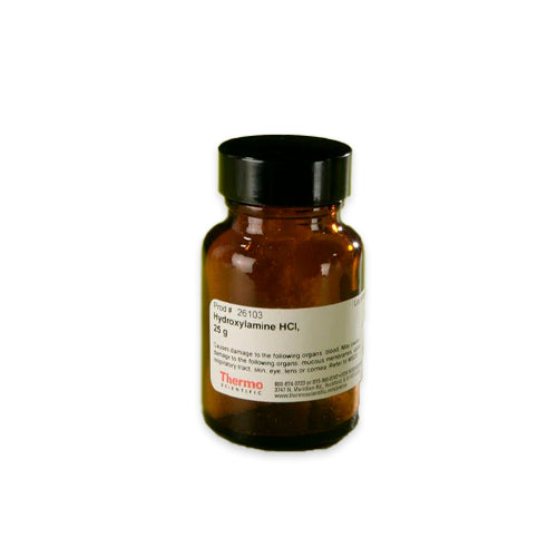 53064. HYDROXILAMIDA HCL 25GR - PIERCE