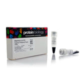 53060. PAGERULER PRESTAINED PROTEIN LADDER 10 TO 180KDA 2X250UL - PIERCE