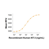 18190. RECOMBINANT HUMAN NT-3 PROTEIN 25UG - R&D SYSTEMS