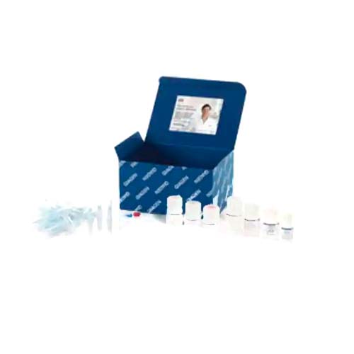 54022. KIT DE PURIFICACION DE ADN PLASMIDICO 250 PREPS QIAGEN
