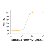 55943. RECOMBINANT HUMAN VEGF 165 PROTEIN 50UG - R&D SYSTEMS