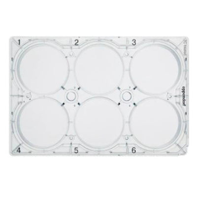 8078. PLACA 6 POZOS P/CULTIVO CELULAR C/60 - EPPENDORF