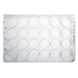 8076. PLACA 24 POZOS P/CULTIVO CELULAR, NO TRATADA, ESTERIL, LIBRE DE PIROGENOS, RNASAS, DNASAS Y ADN HUMANO Y BACTERIANO C/60 - EPPENDORF