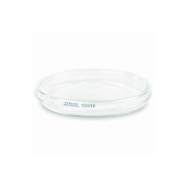 2684. BASE SOLA DE VIDRIO P/CAJA PETRI 100X10MM C/6 - PYREX – CTR ...