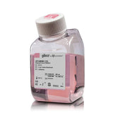 53426. MEDIO DE SUERO REDUCIDO OPTI-MEM 500ML - GIBCO