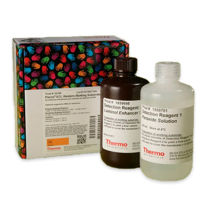 53022. ECL WESTERN BLOTTING SUBSTRATE 500ML - PIERCE
