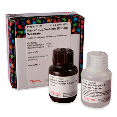 53021. ECL WESTERN BLOTTING SUBSTRATE 50ML - PIERCE