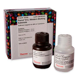 53021. ECL WESTERN BLOTTING SUBSTRATE 50ML - PIERCE