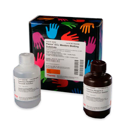 53019. ECL WESTERN BLOTTING SUBSTRATE 250ML - PIERCE