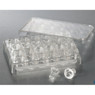 6119. MEMBRANA FILTRANTE TRANSWELL POLICARBONATO 6.5MM, PORO 8.0UM, TRATADA ESTERIL - CORNING