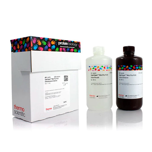 53250. SUPERSIGNAL WEST PICO PLUS CHEMILUMINESCENT SUBSTRATE 500ML - PIERCE