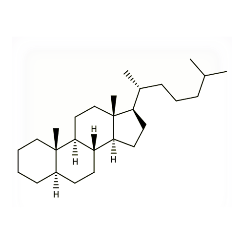 18511. STD (5-ALPHA)-CHOLESTANE 100MG - EXTRASYNTHESE