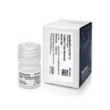 11665.MEZCLA MAESTRA AVANZADA RAPIDA TAQMAN 1X5ML - APPLIED BIOSYSTEMS