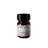 53108. CYSTEINE HCL 5GR - PIERCE